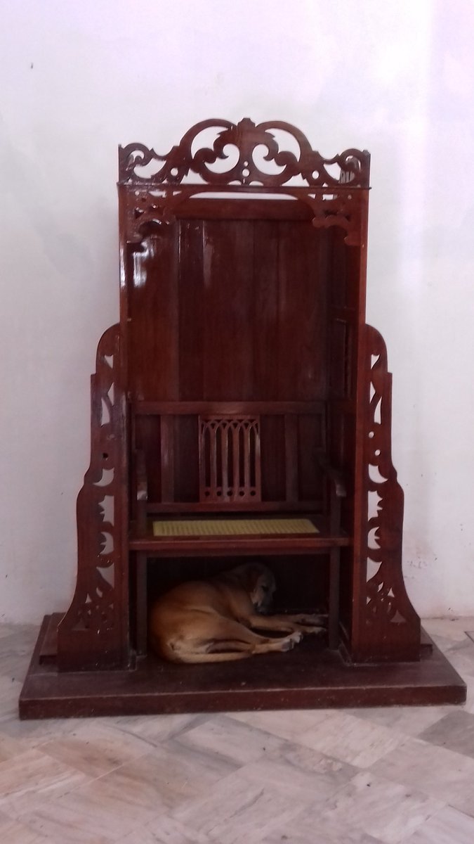 selimcastro's tweet photo. El lugar más fresco de #Tlacotalpan, Ver

#PerroConCredo
#Calor #UnDescansito https://t.co/2EObX6PQPl
