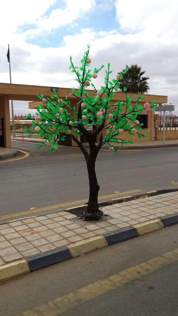 karemhamd92's tweet photo. قيمة شجرة البلاستيك الواحده كفيله بزراعة على الأقل ٢٠ شجرة من البيئة مثل السدر والغاف والقرض اللتي لا تستهلك ماء ولها فائدة بيئة 

#اوقفوا_اشجار_البلاستيك https://t.co/9te3BaTGqG