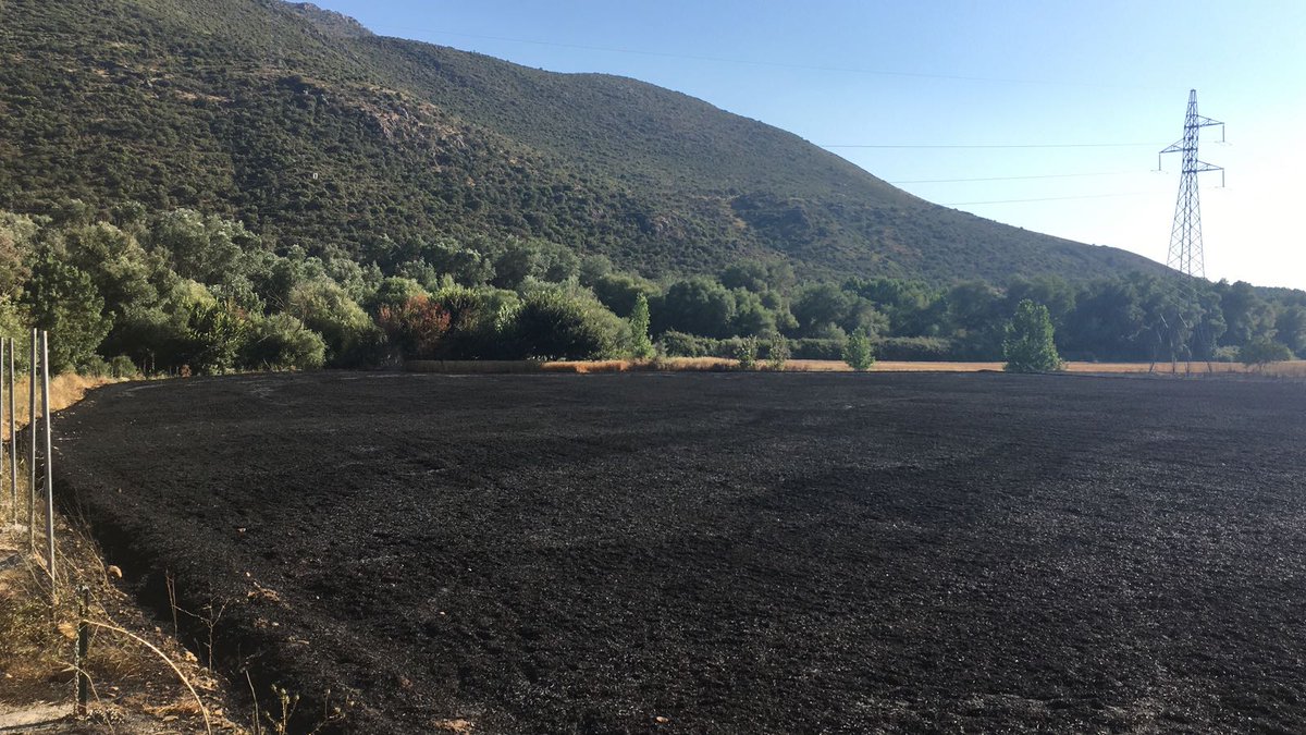 AhoraGranada's tweet photo. #ACTUALIZACIÓN | Controlado el incendio forestal en el Pantano del Cubillas de #Atarfe https://t.co/yTs6SAiqzo #IFAtarfe https://t.co/V2x1n5Uppw