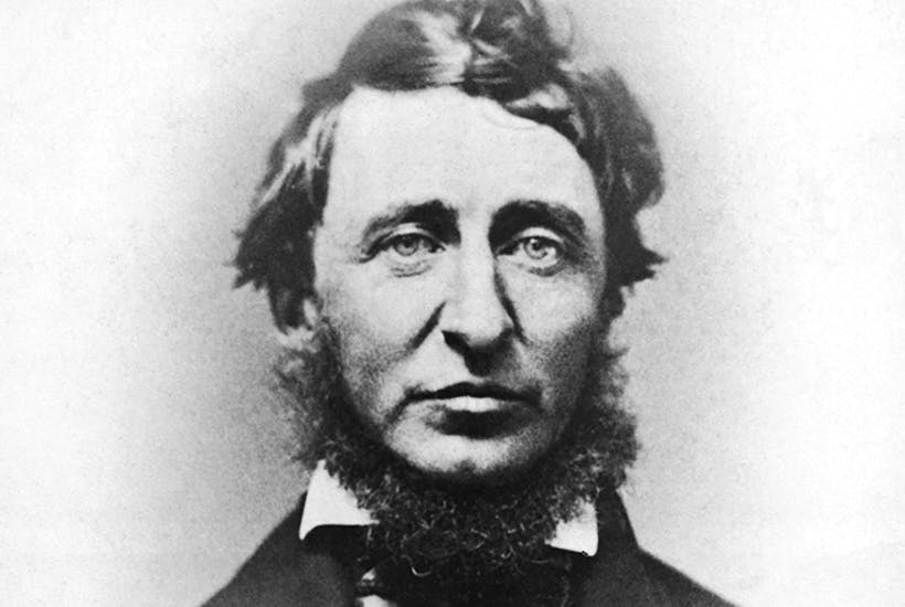 FoolValue's tweet image. Every generation laughs at the old fashioned but follows religiosly the new.

Henry D. Thoreau
