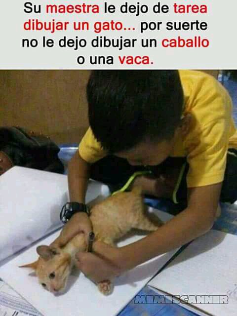 EsteMuchachote's tweet image. Jaja