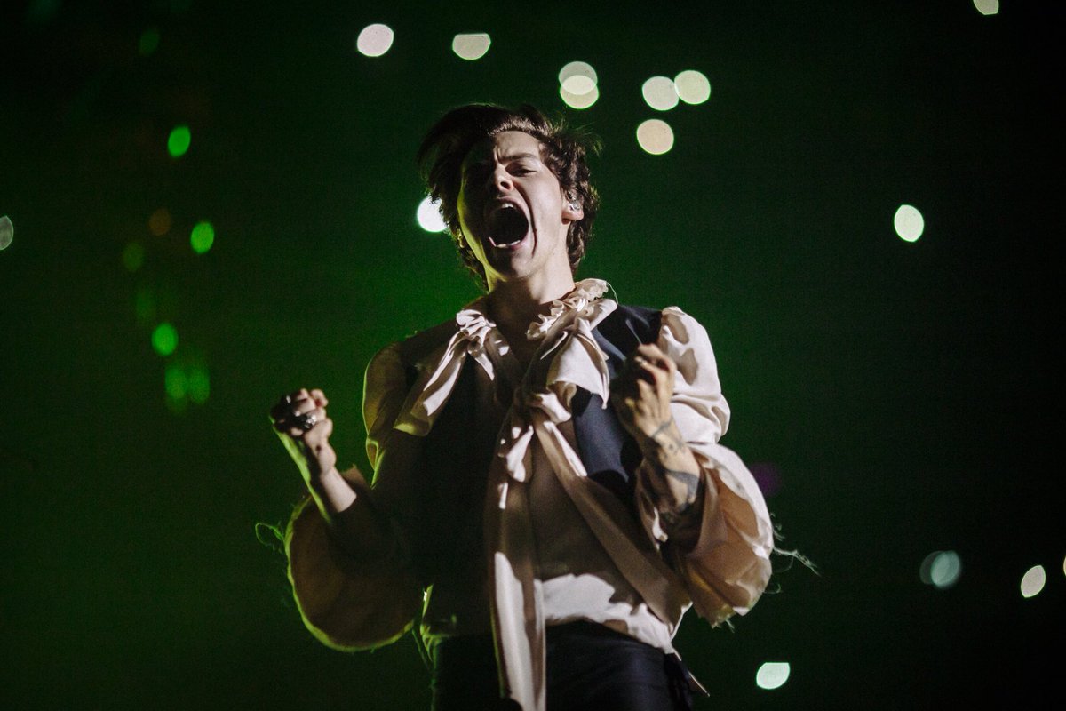 harry__lambert tweet picture