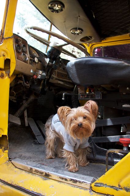 Ziggy the trucker, having some fun!
