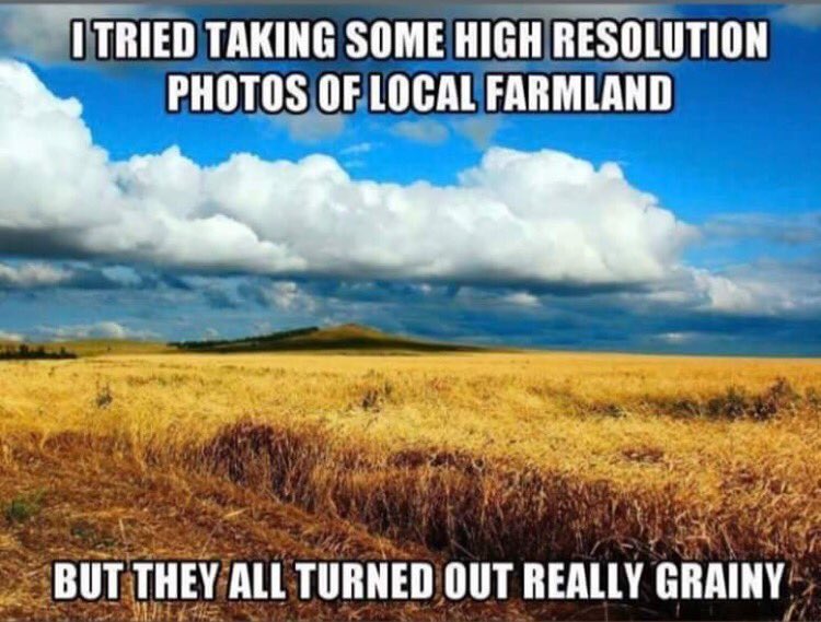 LaughOutLander's tweet photo. 😂photo: #PunBasedHumor https://t.co/IlE7MiUYTI