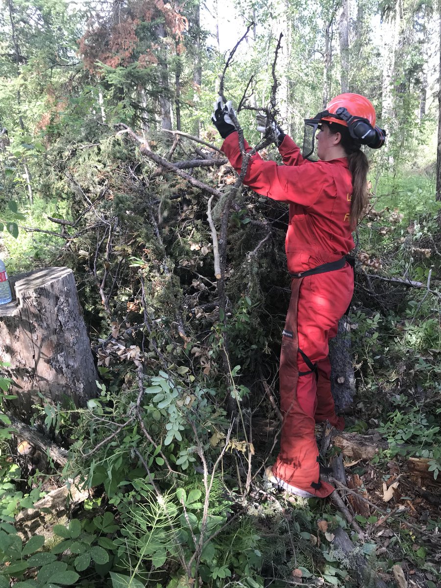 kearneyfire's tweet photo. A little chainsaw training for #Firesmart #summerstudents. Here tuning up a Firesmart block, with the @LSRFS. @FiresmartLSR, @FireSmartCanada https://t.co/74IwqhOiL5