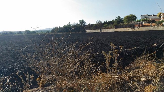 IndeGranada's tweet photo. Controlado el incendio registrado en un paraje del Pantano del Cubillas #IFAtarfe https://t.co/FcOEhjeI8q https://t.co/rVvF461eCu
