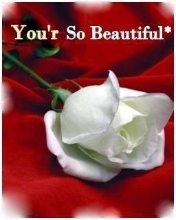 Sweeteddie's tweet photo. @OKatrinaFox @Alexandriathred @undeaddu @Raven_Noir_ @Shark_Queen89 @PersianMuffins @star_ivymfc @laceymmark u ladies are my #wcfriday ur #OMFGGORGEOUS 😍🔥❤💕💖 https://t.co/NeOnc9GYWZ