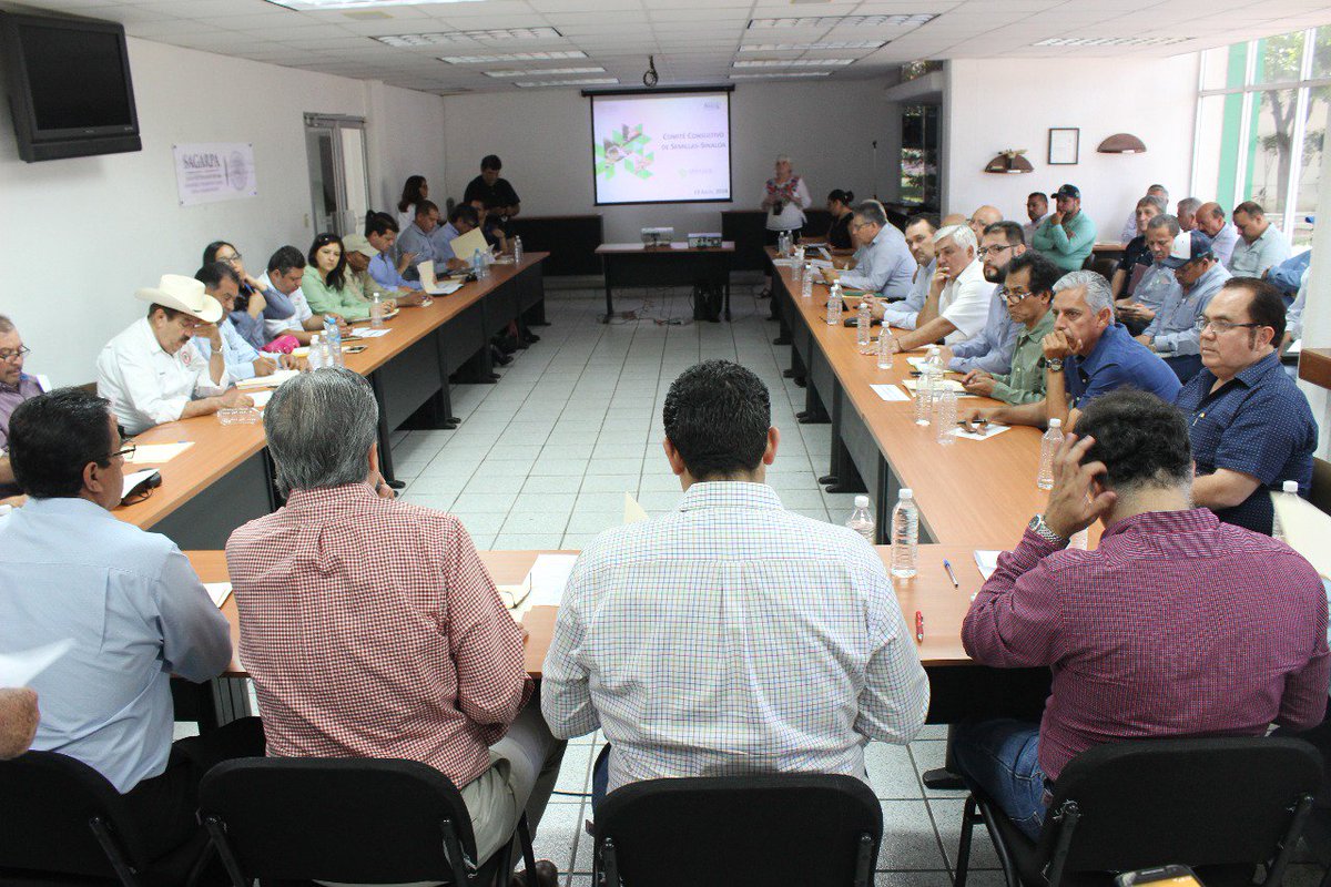PatricioRoblesL's tweet photo. Junto a @LeoCordovaT , director general de @SNICS_SAGARPA y @ChuyValdesP de @saygsinaloa estamos en reunión del Comité Consultivo de Semillas Sinaloa @BaltazarxTam @SAGARPA_mx https://t.co/FmQyOcfz6i