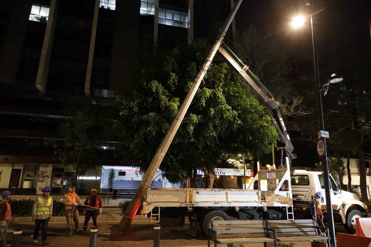 AlcaldiaMHmx's tweet photo. Siguen los trabajos de @CFEmx para retirar los postes de Masaryk, en un lapso de dos meses la avenida estará libre de éstos. https://t.co/TVfbYeleQv
