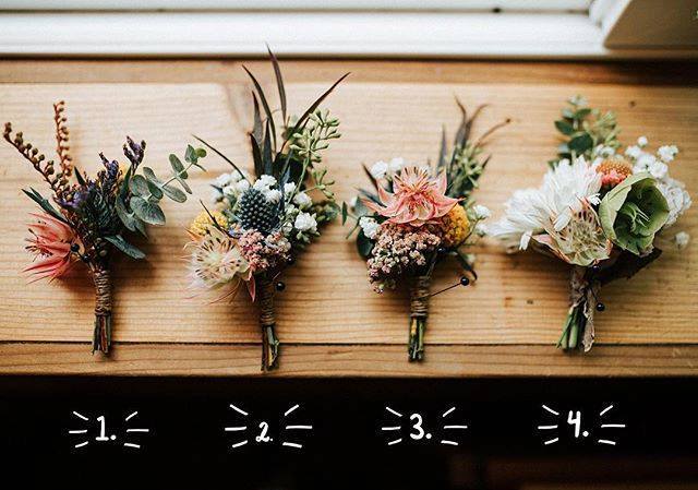 themanderleyec's tweet photo. Which is your favorite? Comment with 1, 2, 3, or 4. 💐 📷: Marisa Morton via @unsplash https://t.co/PCs3DR5ZlJ