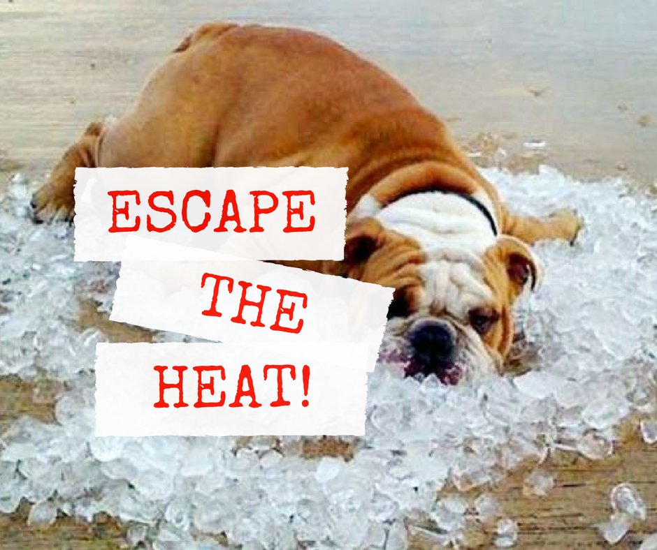escapestrategy's tweet photo. While the warm summer days are nice, 90F is not! 😒

Escape the #heat with our air-conditioned #escaperoom.

Have an adventure and stay cool. ❄️

Book soon! #chicago #aurorail https://t.co/A6EDWjXzJC