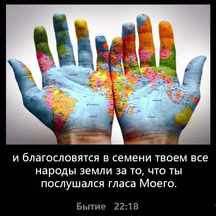 В семени твоем В семени твоем заготовка семян туи