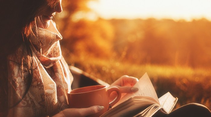 What Makes a Story ‘Big’ or ‘Small’? <a href="/janet_benton/">Janet Benton</a>, author of LILLI DE JONG, weighs in on the matter:  
bit.ly/2uy4QK7