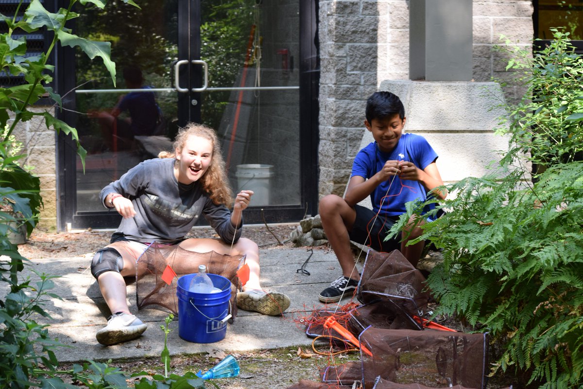NatEnviroSummit's tweet photo. Salamanders, tree frogs, toads, crayfish, mosquito fish are a few of the awesome finds so far. #RedesigningOurFuture #NES2018 #conservation https://t.co/2P1Awpm4PS
