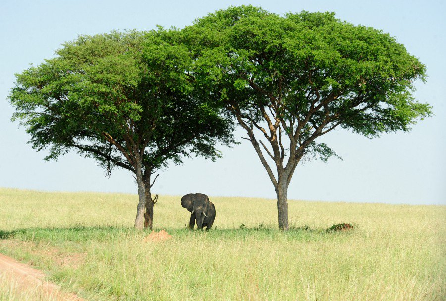 WCS Newsroom tweet media