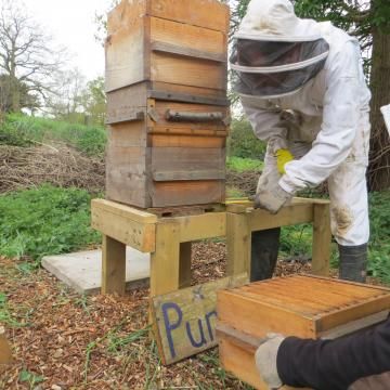 daubeneynature's tweet photo. Happy #BeesNeedsWeek!
In London? You can get involved in a #NationalLottery project helping the city’s bees. If not, here five simple steps on how to help bees in your own garden: https://t.co/kzHc5sErOB 
The National Lottery National Lottery Good Causes https://t.co/DiSktjZ01H