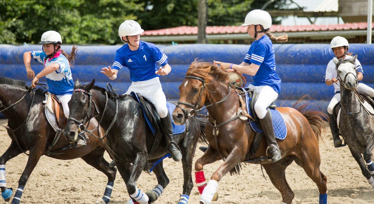 Tracy853's tweet photo. #chamblyworldtour #horseball #GreatBritain #northlondon https://t.co/txE3NtXPjV
