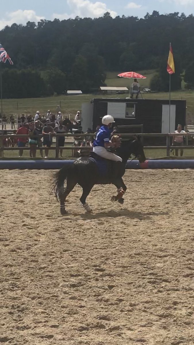 Tracy853's tweet photo. #chamblyworldtour #horseball #GreatBritain #northlondon https://t.co/txE3NtXPjV