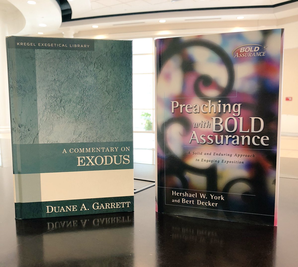 SBTSadmissions's tweet image. RT to win this book bundle featuring Dr. Garrett &amp;amp; @hershaelyork! #SBTSChristmas