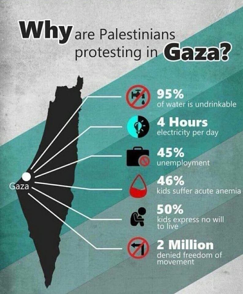 Why are Palestinians protesting in Gaza? Shows map featuring Gaza:  95% water undrinkable, 4 hours electricity per day, 45% unemployment, 46% kids acute anemia, 50% kids no will to live, 2 million denied freedom of movement.