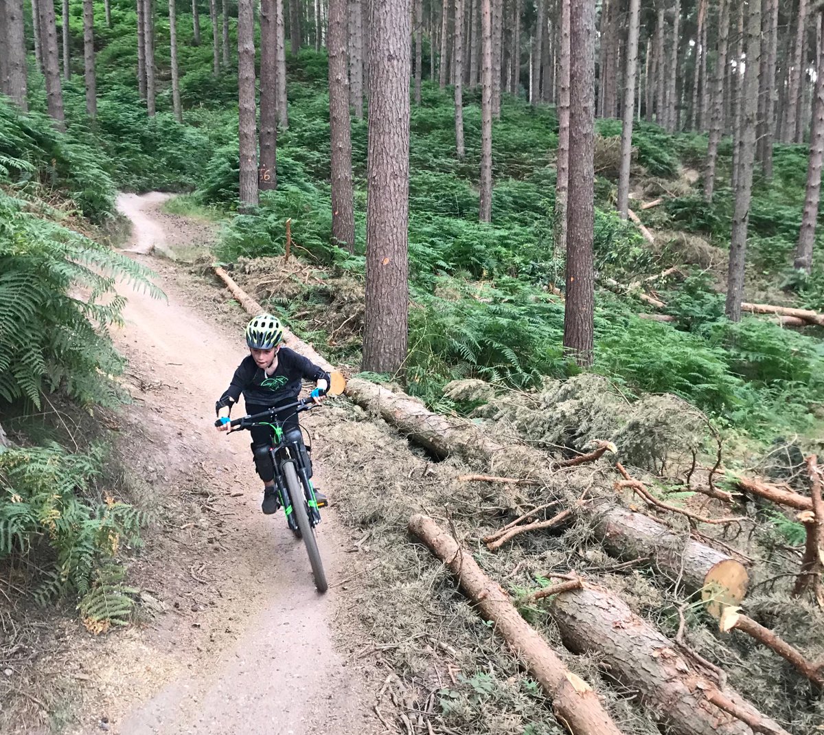 BigDinner71's tweet photo. Lovely ride tonight. Zak loving upper cliff decent. #Uppercliff #chasetrails #mtb #cannockchase #Proud #catchingmeup #frog72 https://t.co/cyfZ3g7hbG