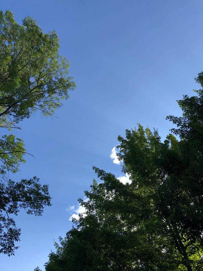 ldersh's tweet photo. Sometimes even the clouds are blocked. https://t.co/x1b8nxQrsz