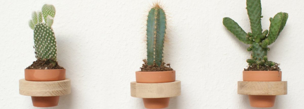 wandpotten's tweet photo. De muren opfleuren met bloemen en of kleine plantjes? Bekijk onze collectie van Studio Antal! Met kleine #wandvazen kan je van je muur een echte eye-catcher maken! https://t.co/4AM6m97MOR https://t.co/PEx5zubUvd
