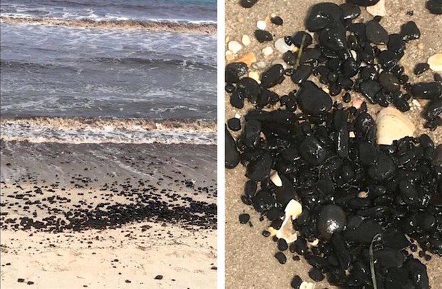 njdotcom's tweet photo. What's that weird black stuff all over the beach? Nothing to worry about, officials say https://t.co/jaips4mxn7 https://t.co/4nO7cioyuZ