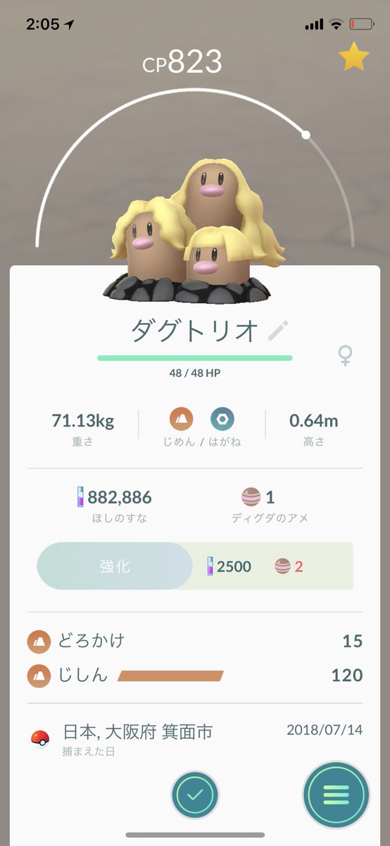 ダグトリオ Twitter Search