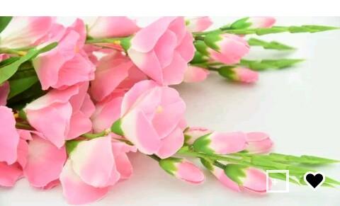 stroeoscott's tweet photo. Don't tell me you don't love this #flower https://t.co/v8ypIpZ0OJ
