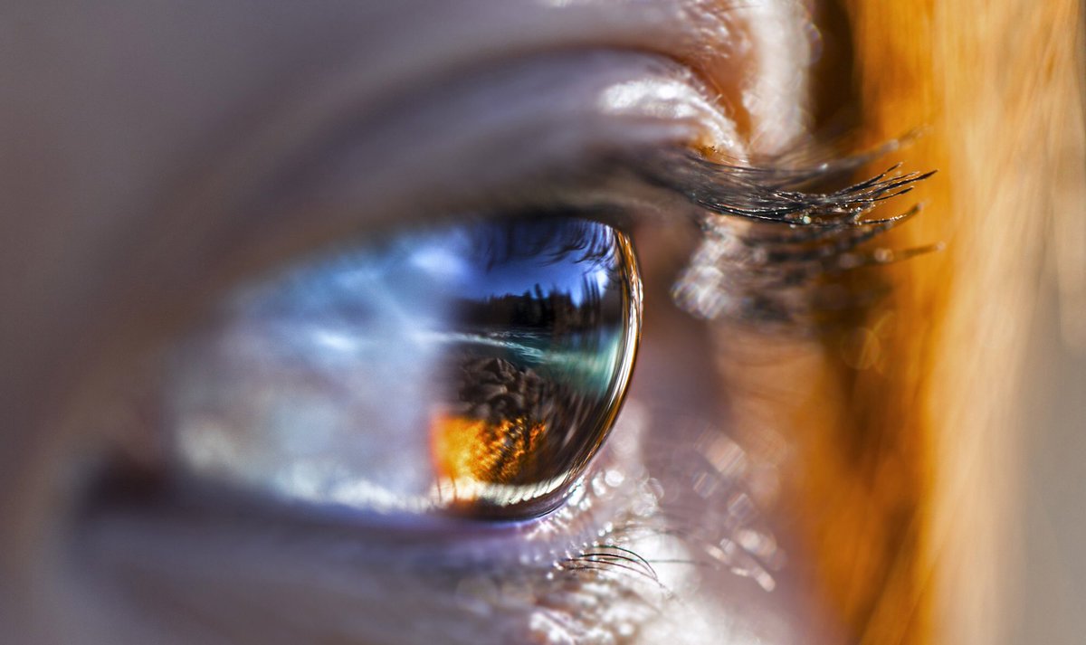 You can't depend on your eyes when your imagination is out of focus.