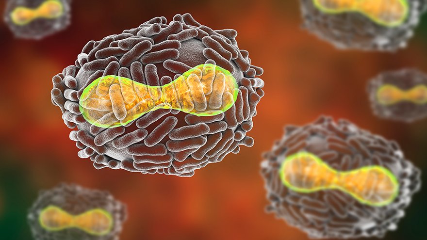 #FDA approves the first drug with an indication for treatment of smallpox: go.usa.gov/xUkpc.