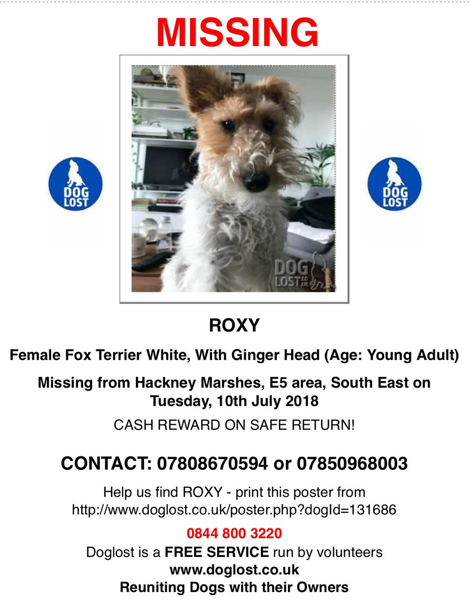 Whaleo79's tweet photo. @PaulOGrady_FC  Please can you help us ? #findmissingroxy https://t.co/LXpXMWpLXH