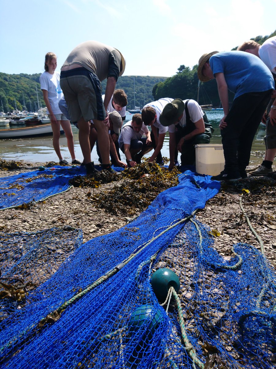 Jackapod's tweet photo. Great start to this year's #MBABioBlitz on the Yealm! Weather is good and we are starting to rack up the species count! #LifeOnTheYealm @thembauk @heritagelottery https://t.co/Y3q3gLOo4c