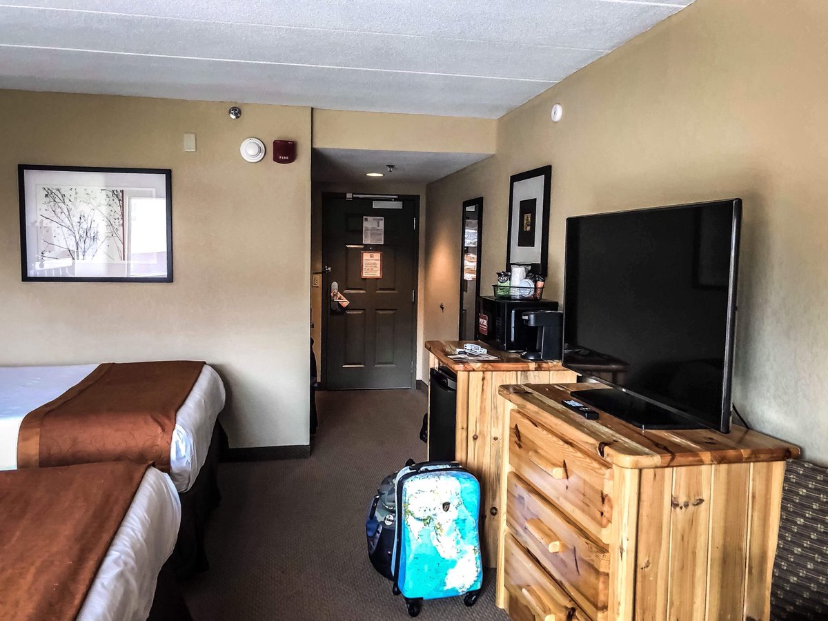 _AGMinistries's tweet image. We had an amazing service at The 2018 New England Church of Pentecost Youth Camp at The Great Wolf Lodge in Fitchburg, MA.  We appreciate your giving and sowing into this ministry.  God is doing tremendous things.  Lives were touched and God is on the move.

#agm #firetour