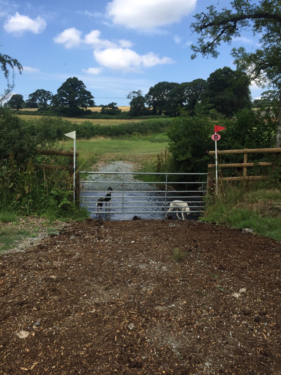 Launceston HT tweet media