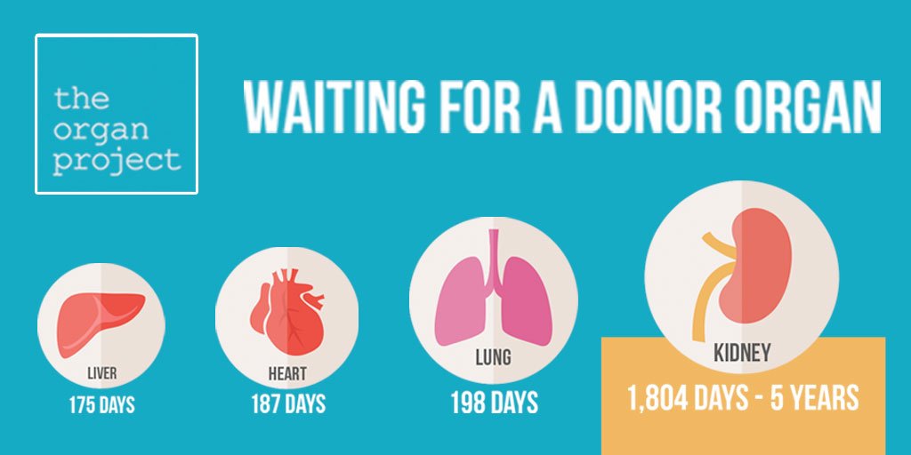 This is how long it takes to wait for these different donor organs. Help #endthewait and register to be an organ donor: loom.ly/mZcVOng