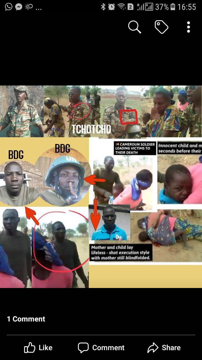 yaahveradzem's tweet photo. This are the faces of the soldiers who kill woman and baby’s blindfolded and they belong to LRC army #stoptheGenocideinSouthernCameroons #ReleaseAllArrested @FoxNews @CNNPolitics @AJStream @CTVW5 @JustinTrudeau @Oprah @PunchlineAfric @UNHumanRights @OAU_Observer https://t.co/cCHqyb8X7g
