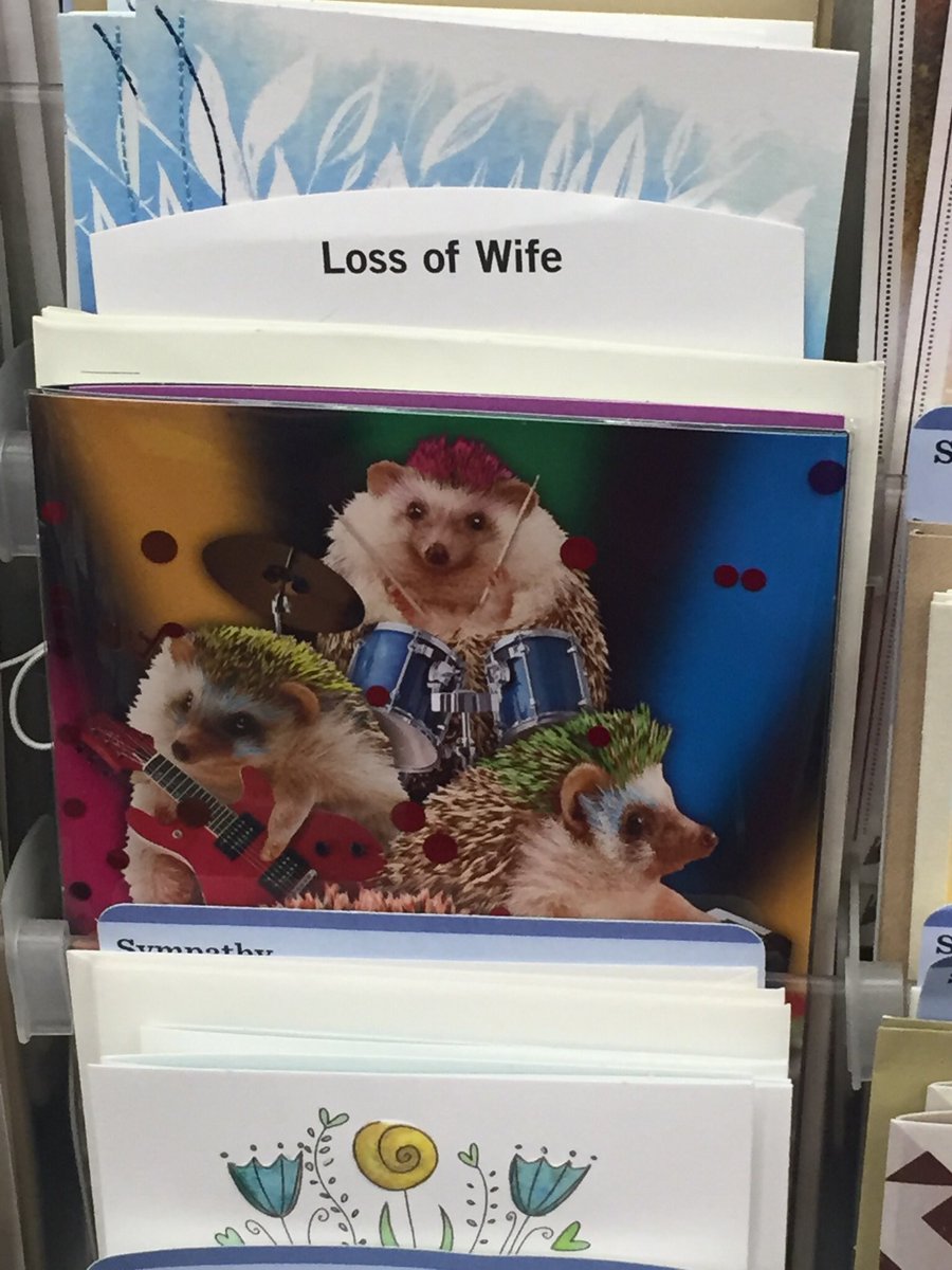 echo262's tweet image. Look, if anything ever happens to me I would be completely disappointed if my husband did NOT have a hedgehog band at my funeral.