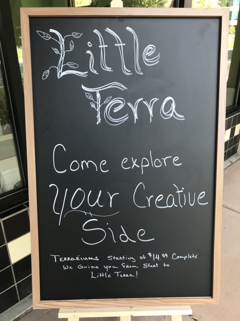 mccadecoolcat's tweet photo. 🍃 Hey Twitter, there’s a new business at the Riverwoods where you build and create Terrariums! Please help a small local business and rt this to bring Mother Nature to peoples homes. 🌿 https://t.co/3lIzI44kTv