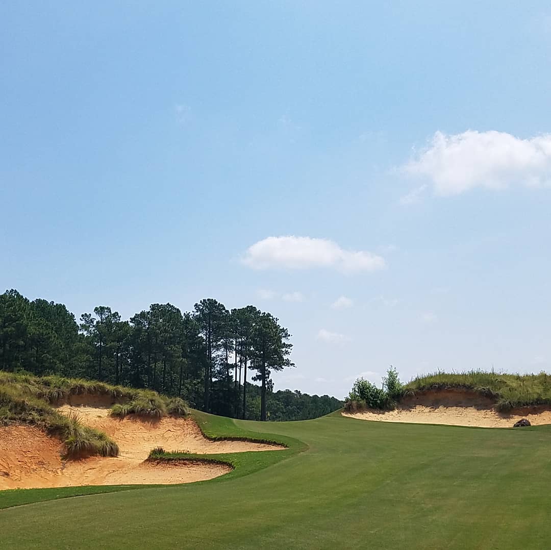 MitchLaurance's tweet photo. The most magical of mornings, thanks to great friend Mark Stewart @TobaccoRoadGolf. Everything great about our game in one round. Peace, beauty, camaraderie, laughs, fun, challenge. And after many rounds, an even deeper feeling of awe at the genius of the late #MikeStrantz. https://t.co/DVqeswO3le
