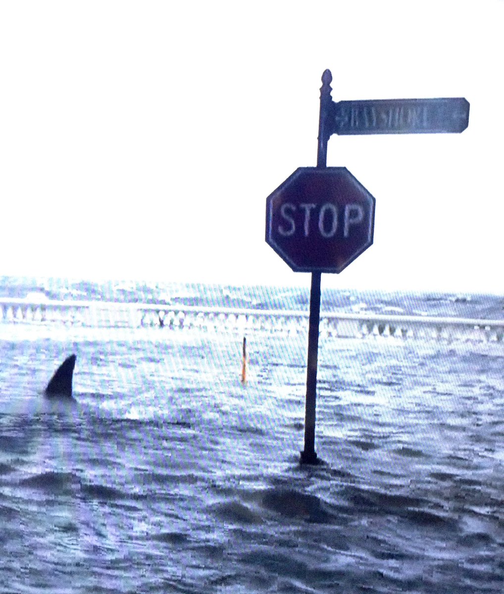 sscalise88's tweet photo. @TheParkerPress9 @DavidMLatt I Screamed when he Followed Me Too!After All... He’s #DavidMLatt ! So Famous & Talented! Woohoo! Then I looked in my swimming pool to check that there were no #Sharks ... or #Zombies lol ~The First #Sharknado Used Footage From My Home County! :) #ZNation #PuppiesandKittens https://t.co/kv1nynQ5Ug