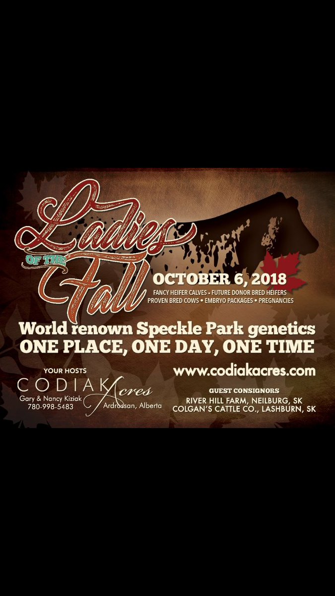codiakacres's tweet image. Ladies of the Fall sale coming up in October. Come see us! #specklepark #albertabeef