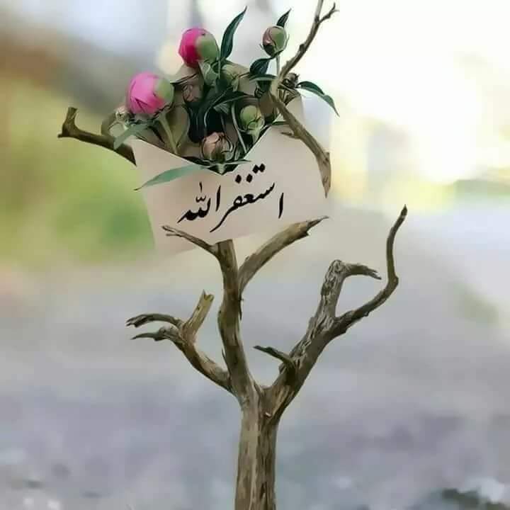 MS_858's tweet photo. جَدَّدَ اِسْتِغْفَارَكَ فِي كُلِّ لَحْظَةٍ. فَبِهِ تُجَدِّدُ العَهْدَ بَيْنَكَ وَبَيْنَ رَبَكٍ, وَتَصِلُ مَا اِنْقَطَعَ بِغَفْلَتِكَ.

#اِسْتَغْفَرُوا https://t.co/E3RIgM0sgC