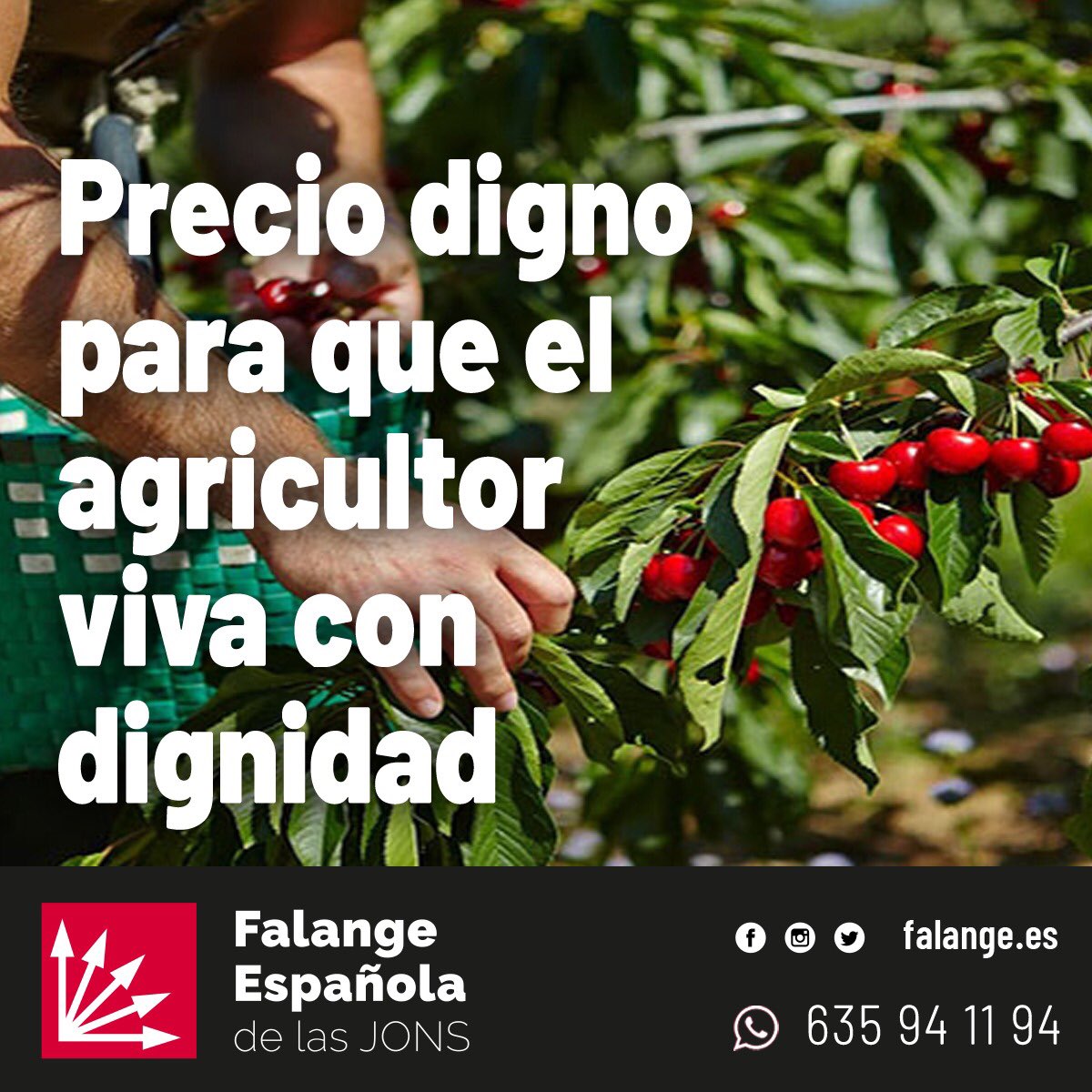 NorbertoPico's tweet photo. #ValleDelJerte
#PrecioDigno
Por un pecio digno de la cereza para el agricultor. https://t.co/yAGI51exeW