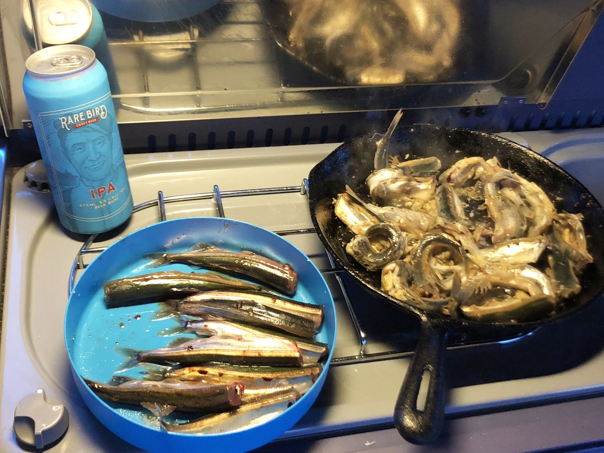Is anyone else planning on enjoying a Rare Bird Craft Beer by the camp stove this weekend?