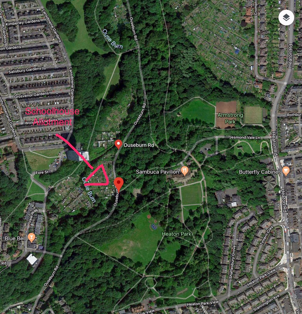 People of Heaton, S
choolhouse Allotment has an open day this Saturday! Come look around and enjoy some tea and cake. We have plants for sale to. Find us on Ouseburn road, bottom of Heaton park <a href="/LoveHeaton/">Love Heaton</a> <a href="/heaton_voice/">Heaton Voice</a> <a href="/heaton_voice/">Heaton Voice</a> <a href="/chilliroadnews/">Heaton North East</a> <a href="/PeopleOfHeaton/">People of Heaton</a> <a href="/ChilliRoad/">Chilli Road Primary</a>