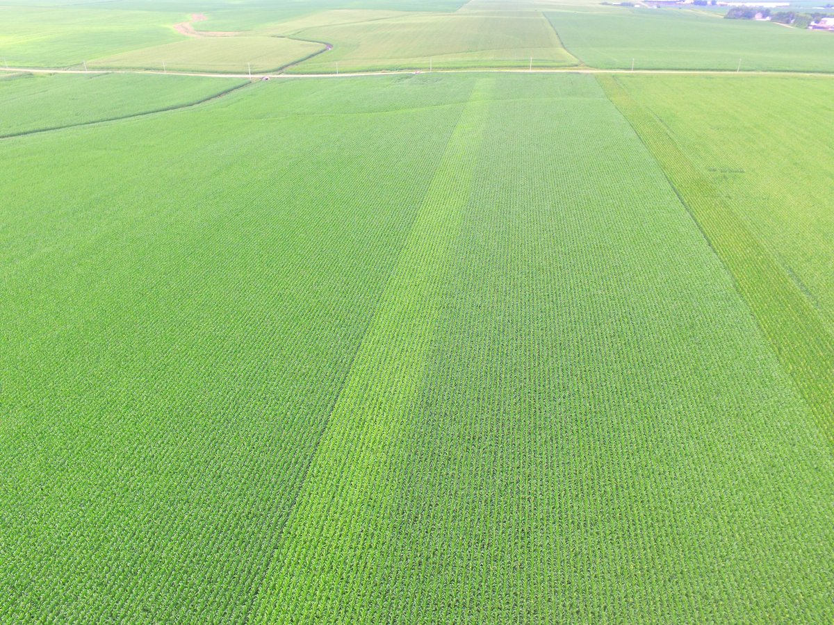 justjoshin_17's tweet image. @360yieldcenter Farmer missed a strip of nitrogen using 360 Y-DROP Sidedress. Wondering if you can figure out where that is!? @LyonAgService