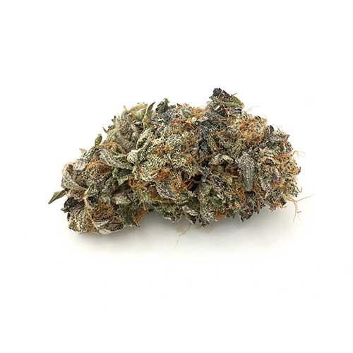 getwhitepalm's tweet image. Laughing Buddha is an 80% Sativa that will caress your body and make you feel real good. The guys over at Kootenay Fire got their hands on this gem about 10 years ago. It&apos;s been one of their staples but the first time we&apos;ve had it here: frosty colas COVER the entire thing. #GWP