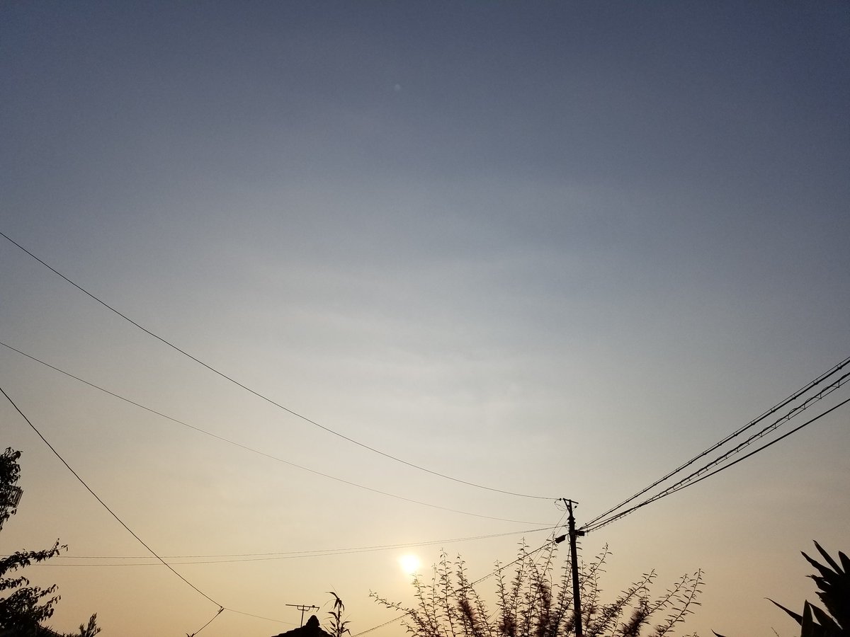 Okiron 今朝 6時半頃の空 起きて すぐの空 いつもより少し早い 昇りたての新しい太陽が作り出す光 グラデーション 爽快感 景色 青色が美しい 幸せな気持ちになる 朝の空は日が昇る度に 変わる 飽きない 今日の空 空日記 朝陽 朝空 Okiron 今朝 6時半頃の空 起きて すぐの空 いつもより少し早い 昇りたての新しい太陽が作り出す光 グラデーション 爽快感 景色 青色が美しい 幸せな気持ちになる 朝の空は日が昇る度に 変わる 飽きない 今日の空 空日記 朝陽 朝空